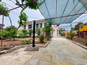 Apartments Lozica